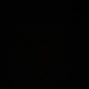 Meet your Posher, Hair